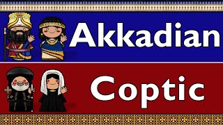 AFROASIATIC AKKADIAN amp COPTIC [upl. by Ahtelahs475]