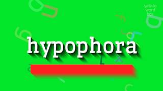 How to say quothypophoraquot High Quality Voices [upl. by Grosmark]