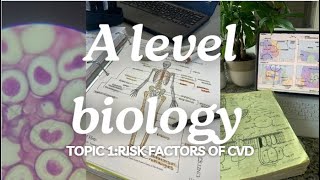 A level biology Edexcel A SNAB Topic 1 Risk Factors of CVD [upl. by Sisxela]