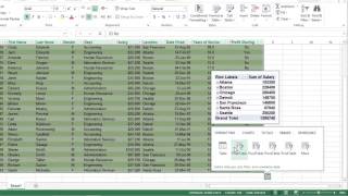 How to Use Pivot Tables in Excel 2013 For Dummies [upl. by Sayer895]