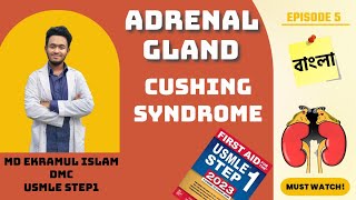 Cushing Syndrome Dexamethasone suppression Test  Clinical Feature  Causes Treatment [upl. by Beck]