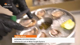 AgDay Minute 081224  Surging Oyster Prices [upl. by Paxon]