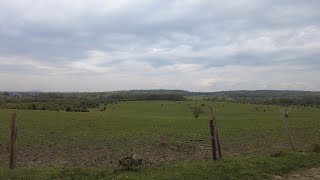 London LOOP section 20  fields more skylarks and a golf course Chigwell to HaveringatteBower [upl. by Nats]