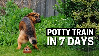 How to Potty Train your German Shepherd Puppy in 7 Days [upl. by Oniram]