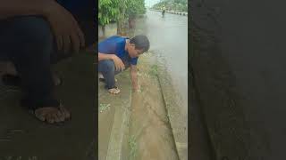 Remove Rain Water To Culvert Drain culvert unclog shorts [upl. by Elin]