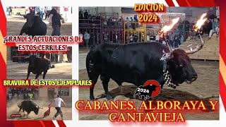 CABANES ALBORAYA Y CANTAVIEJA  EDICIÓN 2024 [upl. by Towne285]