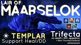 Lair of Maarselok Trifecta 🐉 Templar Support PoV🎇  U42 Gold Road [upl. by Eihpos]