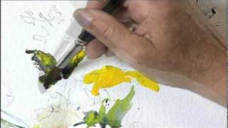 Preview  Painting Flowers in Watercolor with Charles Reid Part 2 [upl. by Ortrude930]