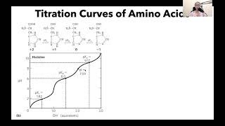 Titration Curve of Histidine [upl. by Anrev]