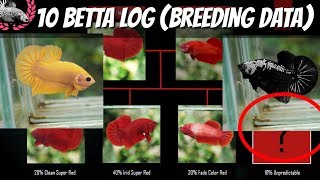 BETTA BREEDING DATA  BETTA LOG FOR KNOWLEDGE AND REFERENCE [upl. by Yluj]