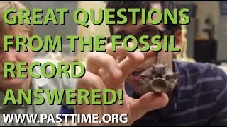 Fossil Questions Answered [upl. by Adlihtam]