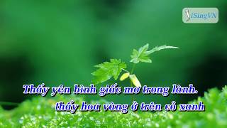 KARAOKE Tôi Thấy Hoa Vàng Trên Cỏ Xanh Ái Phương BEAT [upl. by Egin]