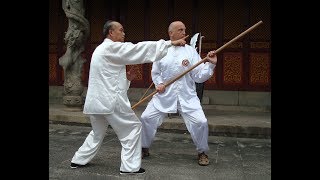 Andrea Guarelli sensei studying Baihe Quan White Crane in China [upl. by Riobard]