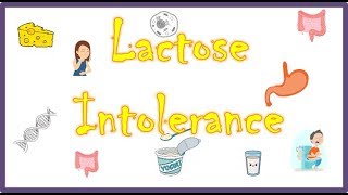 LACTOSE INTOLERANCE  PathophysiologyCausesSigns and symptomsTreatment [upl. by Ynaffad155]