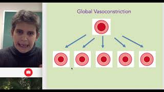 Vasoconstriction and Vasodilation [upl. by Autrey]