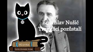 Branislav Nušić  Truchlící pozůstalí Komedie Mluvené slovo SK [upl. by Tiras]