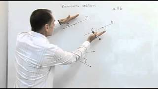 Instrukcije iz matematikeKolinearni vektori [upl. by Naerol]