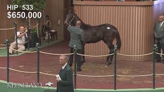 2018 Keeneland January Sale – American PharoahMekko Hokte hip 533 [upl. by Adnohsat137]