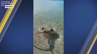 Angry octopus attacks man who filmed it at popular snorkeling spot in Australia  ABC7 [upl. by Steele]