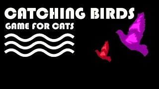 CAT GAMES BIRDS  Flying Birds Video for Cats to Watch  CAT TV [upl. by Ela]