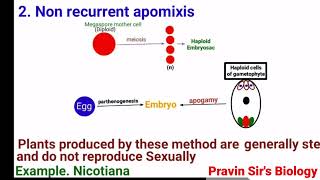 Apomixis  Recurrent apomixis  Non recurrent apomixis  Adventive embryony  Pravin Sirs Biology [upl. by Auhsot]