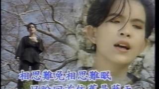 潘美辰精选辑 I VHS 蓝白时代 04 潘美辰 相思難免 [upl. by Eolcin]