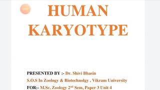 Human Karyotype [upl. by Noeruat]