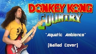 Donkey Kong Country  Aquatic Ambience Ballad Cover [upl. by Natrav]