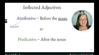 10b Afrikaans Adjectivesbyvoeglike naamwoorde Practice Afrikaans Lessons [upl. by Lasala908]