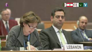 Intervention HE Ambassador Najla Riachi Assaker [upl. by Linnell]