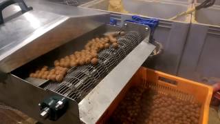 Boilie cooker Making carp boilies  fish bait [upl. by Moyers]