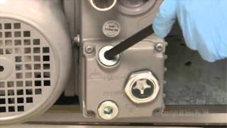 SCIEX 5500amp6500 Systems Pump Oil Change [upl. by Ynogoham]