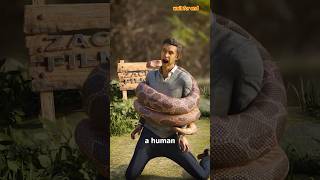 How A Snake Could Choke A Human 😱shorts [upl. by Aenit]