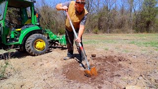 Natural Stump Removal Follow Up  Does Salting a Stump Actually Work [upl. by Oz]