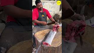 KASIMEDU SPEED SELVAM INDO PACIFIC SAILFISH CUTTING VIDEO bigfishcutting kasimeduselvam shorts [upl. by Nneb3]