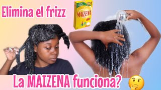 MASCARILLA DE MAIZENA PARA EL CABELLO SECO Y MALTRATADO  MAIZENA PARA AFRO Y RIZADO  RIHANEL [upl. by Jankey557]