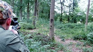 Summer Deer Stalking [upl. by Atlanta]