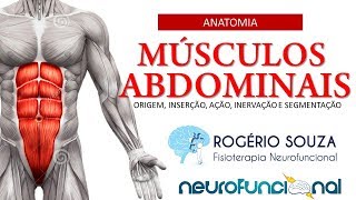 ANATOMIA DOS MÚSCULOS ABDOMINAIS Origem Inserção Ação inervação e Segmentação  Rogério Souza [upl. by Artap705]