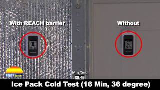 Reach Barrier Garage Door HotCold Test [upl. by Esinehc]