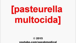 Pronounce Pasteurella multocida  SpeakMedical [upl. by Ahsinrac]