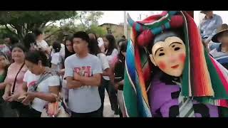 Danza del Torito Jacalteco 2023 [upl. by Josselyn583]