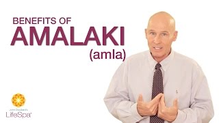 Benefits of Amalaki amla berry  John Douillards LifeSpa [upl. by Esylla]