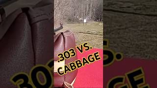 303 British VS Cabbage BIG BOOM boom rangetime accurate [upl. by Doowyah809]