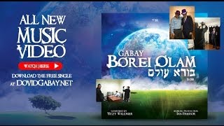 Dovid Gabay  Borei Olam Official Music Video [upl. by Neesay]