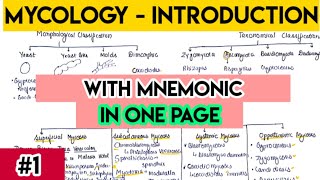 Mycology introduction  Fungi introduction with trick  fungi classification [upl. by Ossie]