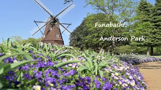 【Japan travel guide3】 Chiba 3 Funabashi Anderson Park Hiyodorizaka Slope Nikon Z6 DJI Pocket2 [upl. by Humfrid]