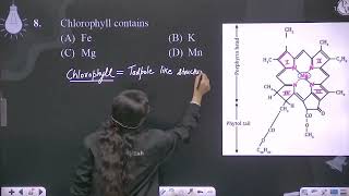 Chlorophyll contains [upl. by Salomie264]