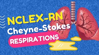 CheyneStokes Respirations  High Yield NCLEXRN Question Review [upl. by Nomelihp]