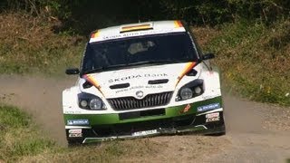 Rallye Deutschland Tests Wiegand Evans Andersson Chardonnet Kremer Riedemann P3 Test [upl. by Carothers]