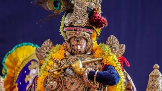 Sri Varadaraja Swamy Brahmotsavam day  06 [upl. by Nohtahoj]